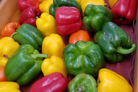 Image of Peppers-Sweet
